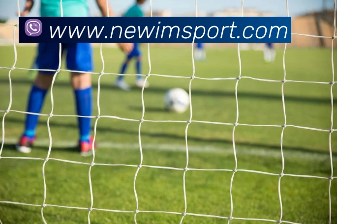 App Interface Preview