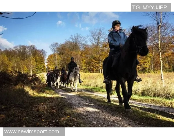 斯波称赞凯沙约翰逊表现出色认为之前机会分配不公